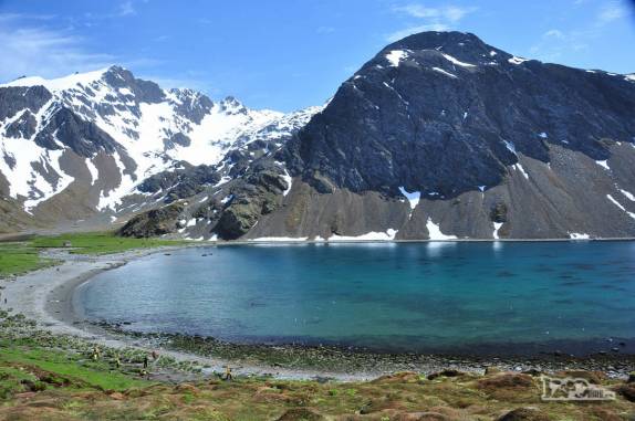 A linda paisagem de Ocean Harbour, na Geórgia do Sul